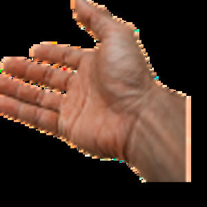 Meet your Posher, Fariba